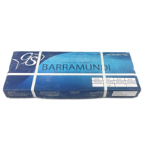 BARRA SL 200/300g 5kg