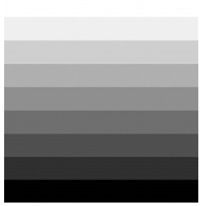 2K FLEET GROUP 1 (WHITE BLACK)