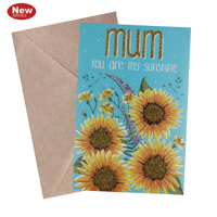 SWY MOTHER CARD
