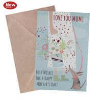 SWY MOTHER CARD