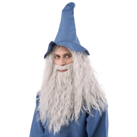 GREY WIZARD WIG AND BEARD