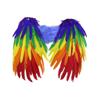 RAINBOW FEATHER WINGS