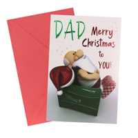 SWY XMAS DAD