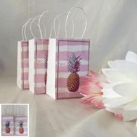3PK PINK TROPPO KRAFT BAGS 7.5X12CM
