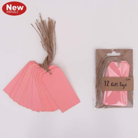 12PK CORAL PINK GIFT TAGS