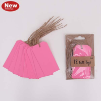 12PK NEON ROSE GIFT TAGS