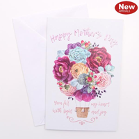 SWY MOTHER CARD