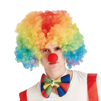 CLOWN WIG