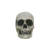 18X12.7CM SKULL TABLETOP DECOR