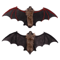 2A 40X17X4CM BAT