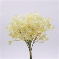 35CM IVORY PANICLED HYDRANGEA