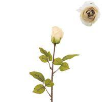 ROSE BUD TAUPE 68CM