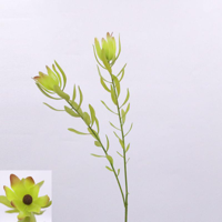 GREEN LEUCADENDRON 88CM
