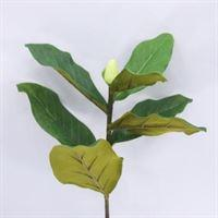 MAGNOLIA LEAF 72CM
