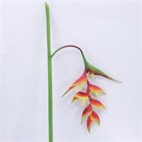 HELICONZA SPRAY 130CM