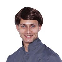 60S MOD WIG
