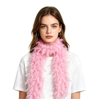 FEATHER BOA-BLUSH