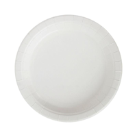 20PK 23CM PLASTIC FREE PAPER PLATES-WHITE