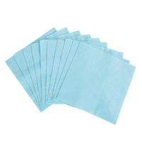 40PK 25*25cm NAPKIN-SKY
