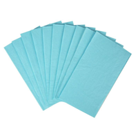 20PK 40X33CM NAPKIN-SKY