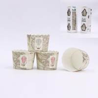 30PK HOT AIR BALLOON CUP CAKE