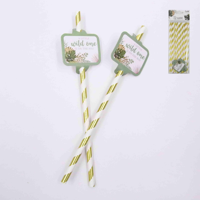 12PK WILD ONE STRAWS
