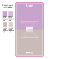 CAPTION-BLANK-2
