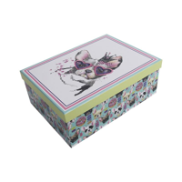 S/18 GIFT BOX - GROOVY BULLDOG