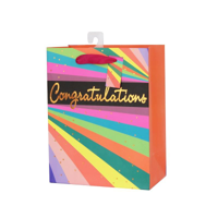 NEON STRIPES GIFT BAG MED