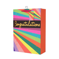 NEON STRIPES GIFT BAG XL