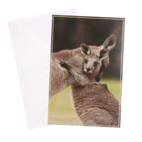URBAN BLANK CARD