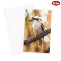 URBAN BLANK CARD