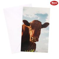 URBAN BLANK CARD