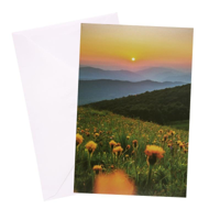 URBAN BLANK CARD