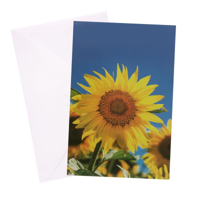 URBAN BLANK CARD