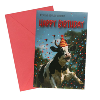 SWKY MALE BIRTHDAY