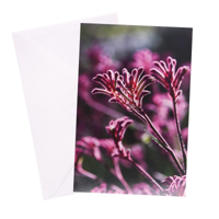URBAN BLANK CARD