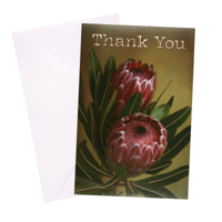 URBAN THANK YOU FEMALE