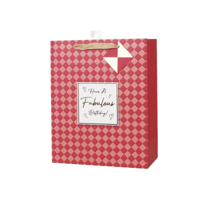 LRG HAVE A FAB B'DAY GIFT BAG 26X32X12CM
