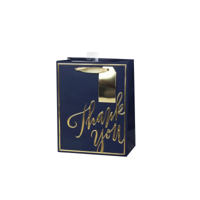 MED THANK YOU GIFT BAG 18X23X10CM