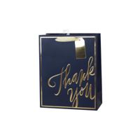 LRG THANK YOU GIFT BAG 26X32X12CM