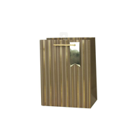 MED STRIPE GIFT BAG 18X23X10CM