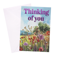 SOP THINKING OF YOU FEMALE