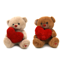 2A 24CM PLUSH VALENTINE BEARS