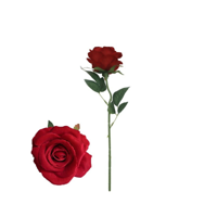 SINGLE RED ROSE W/CELLO BAG
