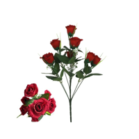 ROSE BUNCH W/CELLO BAG