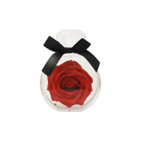 SINGLE ROSE IN ACRYLIC PERFUME BOTTLE