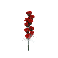 9 RED ROSES IN BLACK GIFT PACK