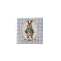20PK 33X33CM 2PLY MR BUNNY NAPKINS