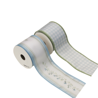 2A 6.3X5M MR BUNNY RIBBON